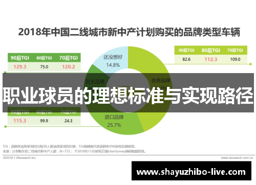 职业球员的理想标准与实现路径